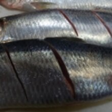 鰊生にしん 鰊 の塩焼き ふんわり柔らか レシピ 作り方 By 夏はぜ 楽天レシピ 鰊生にしん 鰊 の塩焼き ふんわり柔らか レシピ 作り方 By 夏はぜ 楽天レシピ